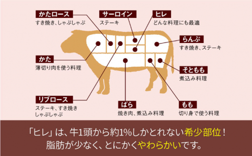 【訳あり】【数量限定】長崎和牛 ヒレ サイコロステーキ500g＜大西海ファーム＞ [CCY088]