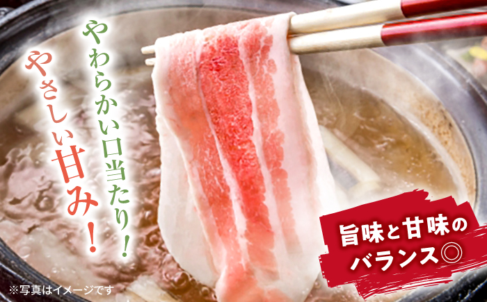 【訳あり】【何枚でもいけちゃう】大西海SPF豚 バラ（しゃぶしゃぶ用）計1.3kg（650g×2パック）＜大西海ファーム＞ [CEK032]