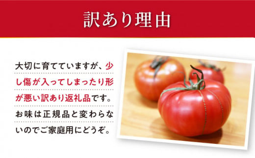 トマト 高糖度 【2025年収穫分先行予約】【1.8kg×3回 定期便 】 【訳あり】 大島 トマト 計5.4kg  西海市産 トマト とまと 訳あり トマト 大島トマト 甘いトマト ＜大島造船所 農産グループ＞ [CCK008]