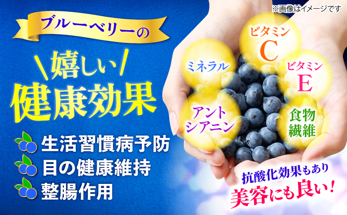 【2026年6月中旬より順次発送】完熟 生 ブルーベリー 計1kg（約500g×2パック） ＜広津農園＞ [CBN008] 冷蔵 栽培期間中 農薬不使用 ブルーベリー 果物 果実 冷蔵 生ブルーベリー ブルーベリー 西海市産