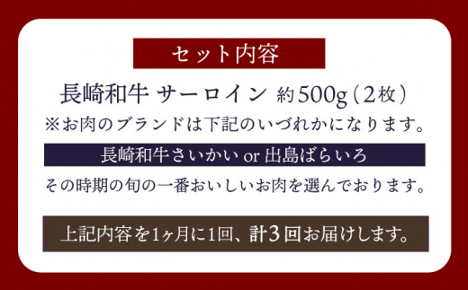 【訳あり】【3回定期便】 長崎和牛 サーロイン ステーキ 約500g（2枚） 【大西海ファーム食肉加工センター】 [CEK179]