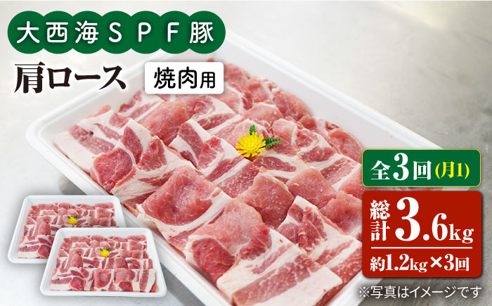 【月1回1.2kg×3回定期便】大西海SPF豚 肩ロース（焼肉用）訳あり ＜大西海ファーム＞ [CEK090]
