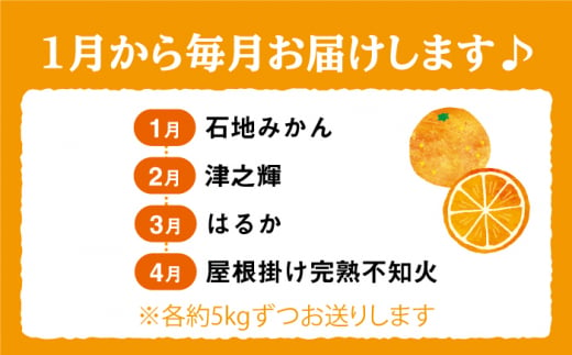 みかん 【1月から毎月届く♪4回定期便】旬の みかん 定期便 西海市 みかん 蜜柑 柑橘 みかん ミカン 定期便 ＜中尾果樹園＞ [CEL008]