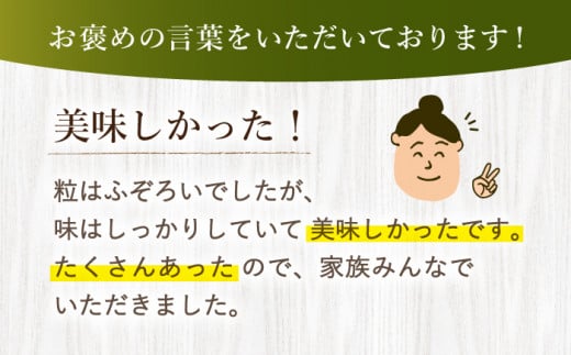 【先行予約】【数量限定】【 訳あり 】 ゆめのか 苺 約2kg （250g×4パック×2箱）＜川原農園＞ [CDR005]