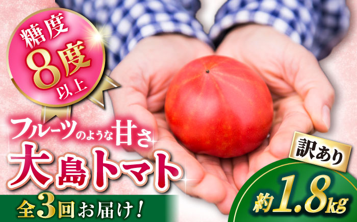 【3月中旬より配送開始】【3回定期便】【 訳あり 】 大島 トマト 約1.8kg ＜大島造船所 農産グループ＞ [CCK008] 長崎 西海 トマト とまと 大島トマト 高糖度 贈答 訳あり 不揃い 規格外 トマト 野菜 新鮮 人気 高評価 定期便