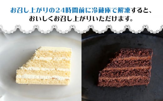 ケーキ チョコレートケーキ （ チョコレンガ ） 1個＆ 特選 バターケーキ 1個 計2個 ケーキ スイーツ おやつ 贈答 プレゼント ギフト 誕生日ケーキ 記念日 ＜お菓子のいわした＞ [CAM064]