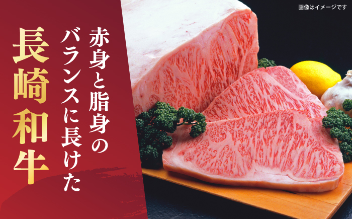 【A4〜A5】長崎和牛切り落とし　約1kg（500g×2パック）＜株式会社MEAT PLUS＞ [CFT025]