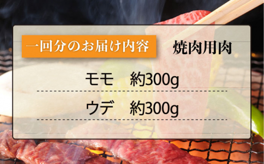 【3回定期便】長崎和牛 赤身 焼肉（モモ・ウデ）食べ比べ ＜ミート販売黒牛＞ [CBA115]