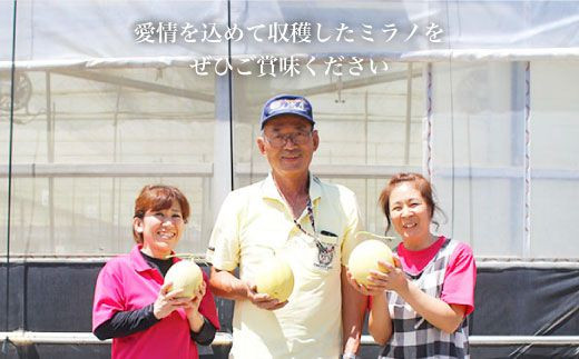 【先行予約☆1本の樹から1玉だけ】大島メロン「ミラノ」6玉（計7.2～8kg）＜大島造船所 農産グループ＞ [CCK023]