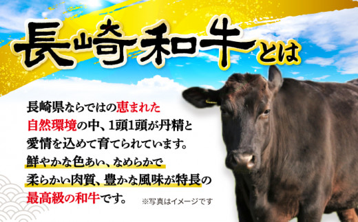 【訳あり】【月1回約1kg×6回定期便】長崎和牛 肩ロース（すき焼き用）計6kg＜大西海ファーム＞ [CEK057]