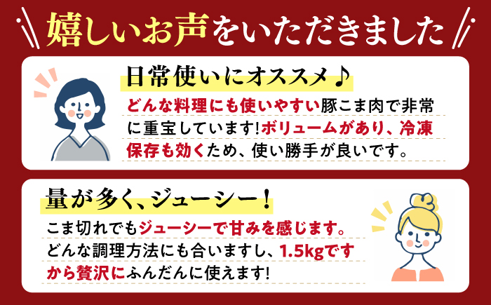 【6回定期便】【使い勝手◎】長崎うずしおポーク こま切れ 計1kg（500g×2P）＜スーパーウエスト＞ [CAG312]
