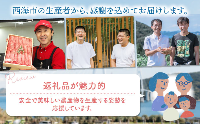 【6回 定期便 】上位人気返礼品〜見つけた！西海の宝物定期便〜 西海市 定期便 人気 うなぎ 鰻 ウナギ SPF豚 長崎和牛 サーロイン さーろいん ステーキ ケーキ チーズケーキ [CZZ024]