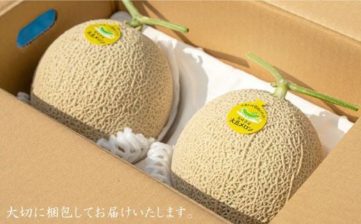 【先行予約☆1本の樹から1玉だけ】大島メロン「ミラノ」2玉（計3.2～4.8kg）＜大島造船所 農産グループ＞ [CCK021]