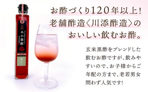 飲む 玄米酢 酢らり 6種セット＜川添酢造＞ [CDN003]