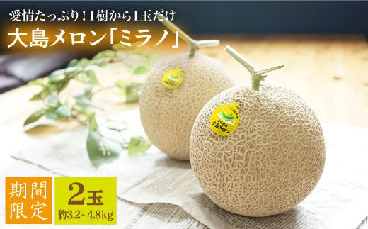 【先行予約☆1本の樹から1玉だけ】大島メロン「ミラノ」2玉（計3.2～4.8kg）＜大島造船所 農産グループ＞ [CCK021]