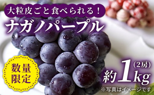 【数量限定】【種なし皮ごと！】ナガノパープル 約1kg（2房） ぶどう ブドウ 巨峰 西海市産 ＜山田敦義＞ [CCX003]