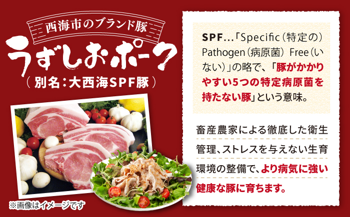 長崎うずしおポーク SPF豚 こま切れ 計1.5kg（500g×3パック） 訳あり ＜スーパーウエスト＞[CAG015]  長崎 西海 国産 肉 便利 小分け