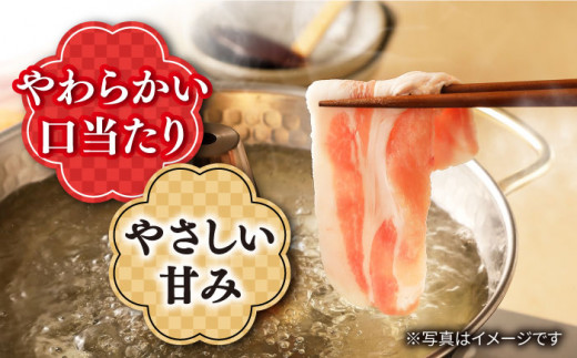 【 訳あり 】【6回 定期便 】長崎うずしおポーク 焼肉 ＆ しゃぶしゃぶ セット 1.4kg  豚肉 豚 焼き肉用 焼肉用 しゃぶしゃぶ 豚スライス ロース バラ ＜スーパーウエスト＞ [CAG096]