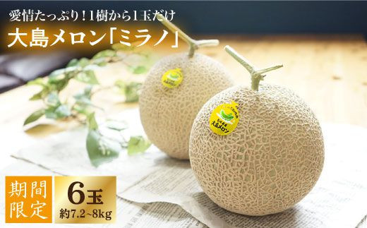 【先行予約☆1本の樹から1玉だけ】大島メロン「ミラノ」6玉（計7.2～8kg）＜大島造船所 農産グループ＞ [CCK023]