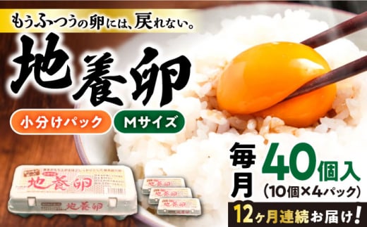 【12回定期便】最高級 卵 地養卵 Mサイズ 40個×12回定期 長崎県産 西海市 たまご 卵 玉子 タマゴ 鶏卵 オムレツ 卵かけご飯 朝食 料理 人気 卵焼き＜垣山養鶏園＞ [CBB020]