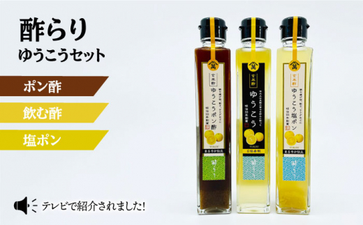 【長崎伝統柑橘使用】酢らり3本セット（ゆうこう・ゆうこうポン酢・ゆうこう塩ポン）＜川添酢造＞ [CDN040]