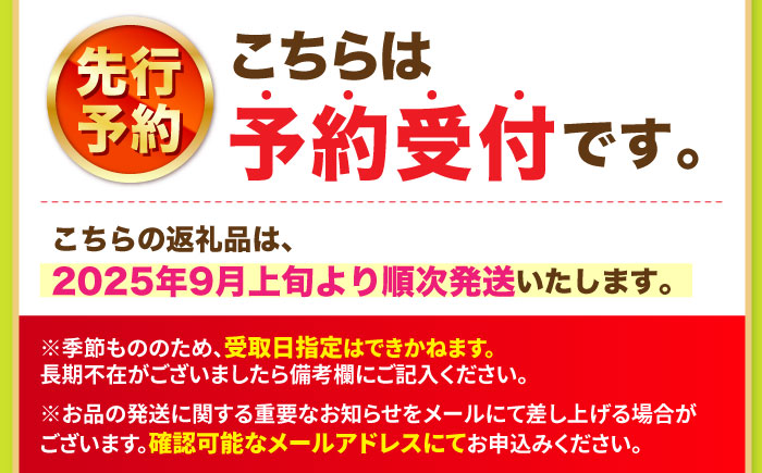 【9月発送】シャインマスカット 約1.5kg（2房）＜濱崎農園＞ [CGN005]