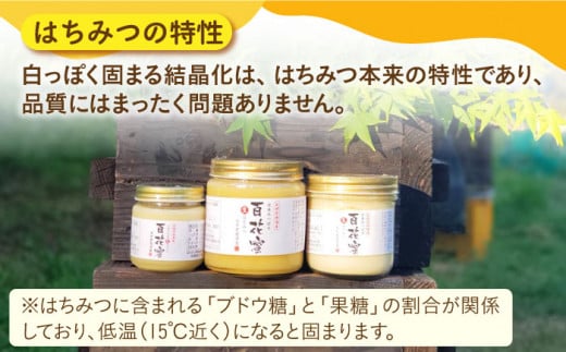 【数量限定】天然蜂蜜｢百花蜜｣ 計400g（200g×2個）《お試し便》＜高岸農園＞ [CCH001]