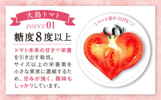 トマト 高糖度 【2025年収穫分先行予約】【3kg×3回 定期便 】糖度8度以上の果実！ 大島 トマト 計9kg  西海市産 トマト とまと 訳あり トマト 大島トマト 甘いトマト ＜大島造船所 農産グループ＞ [CCK006]