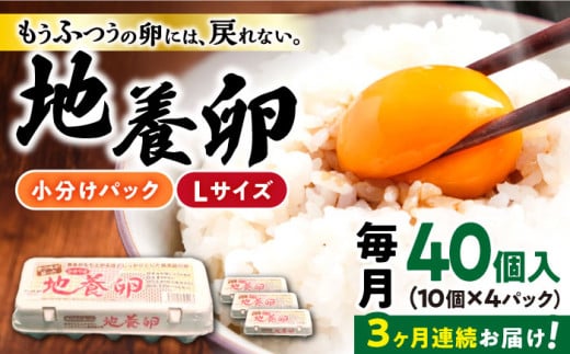 【3回定期便】最高級 卵 地養卵 Lサイズ 40個×3回定期便 長崎県産 西海市 たまご 卵 玉子 タマゴ 鶏卵 オムレツ 卵かけご飯 朝食 料理 人気 卵焼き＜垣山養鶏園＞ [CBB002]