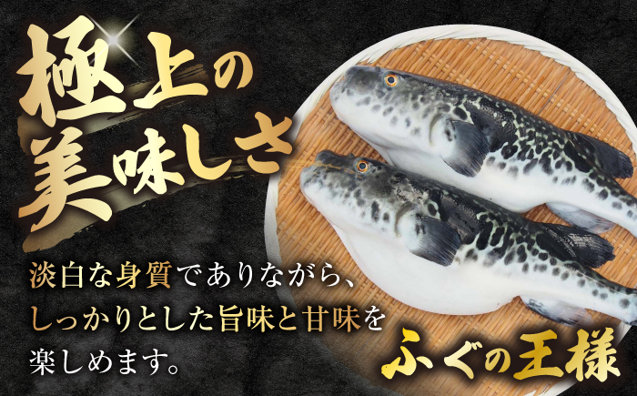 【☆数量限定☆】 ふぐてっさ ・ てっちり 鍋 セット 2人前 ＜大島水産種苗＞ [CBW017]