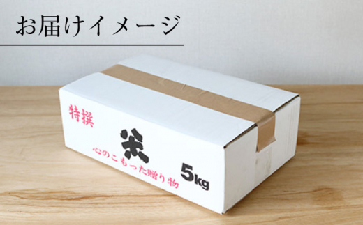 【 令和5年産 新米 ☆先行予約】【3回定期便】【木村式自然栽培】 白米 くまみのり 約 5kg ＜ハマソウファーム＞ [CBR015]