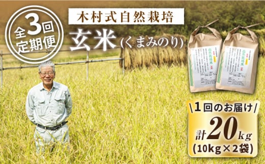 【 令和5年産 新米 ☆先行予約】【3回定期便】【木村式自然栽培】 玄米 くまみのり 約20kg ＜ハマソウファーム＞ [CBR023]