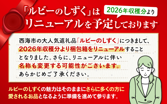 トマト 高糖度 【2026年3月より配送開始】【2回定期便】【 訳あり 】糖度9度以上！ 大島トマト 特選「 ルビーのしずく 」約1.2kg＜大島造船所 農産グループ＞ [CCK031]  長崎 西海 トマト とまと 大島トマト 高糖度 贈答 訳あり トマト 不揃い 規格外 人気 高評価 甘い 新鮮 野菜 トマト