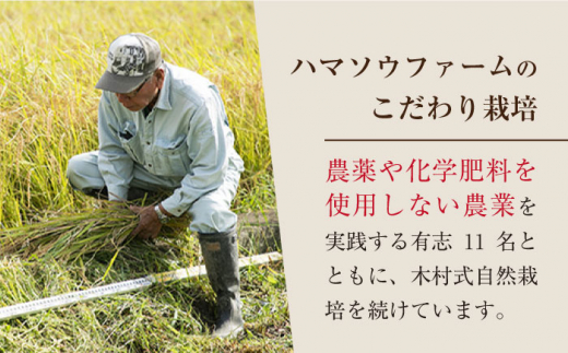 【 令和5年産 新米 ☆先行予約】【3回定期便】【木村式自然栽培】 玄米 くまみのり 約20kg ＜ハマソウファーム＞ [CBR023]