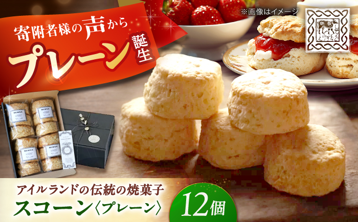 [素朴ながらも奥深い味わい] プレーンスコーン 12個入り 