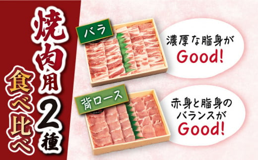 【 訳あり 】【3回 定期便 】 焼肉 豚 大西海 SPF豚 背ロース ＆ バラ （ 焼肉 用）計1.3kg（各650g）焼肉 焼肉 肉 食品 肉類 国産 豚肉 食べ比べ こだわり セット 甘み 旨み 豚バラ バラ肉 豚ロース 贈答 ギフト SPF豚 ＜大西海ファーム＞ [CEK044]