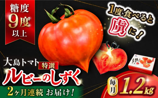 トマト 高糖度 【2025年収穫分先行予約】【2回 定期便 】糖度9度以上！ 大島 トマト 特選「 ルビーのしずく 」約1.2kg  西海市産 トマト とまと 訳あり トマト 大島トマト 甘いトマト ＜大島造船所農産G＞ [CCK030]