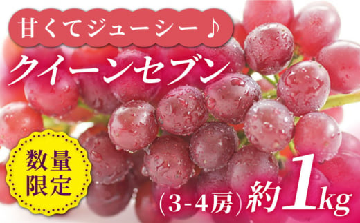 【☆先行予約☆】 【種なし皮ごと！】 クイーンセブン 約1kg（3〜4房） ぶどう ブドウ 種なし 西海市産 ＜最強の兼業農家山田さん＞ [CCX007]