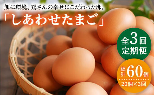 【月1回20個×3回 定期便 】 平飼い 「 しあわせ たまご 」計60個＜松本養鶏場＞ [CCD027]