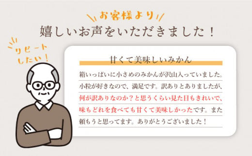 【先行予約☆限定100箱】【 訳あり 】西海1号（温州 みかん ）約 10kg （優品/Sサイズ）＜西海柑橘農業協同組合＞ [CCF002]