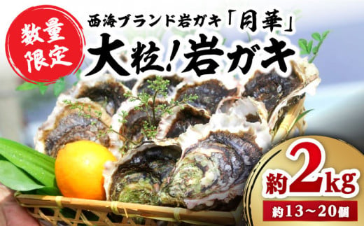 牡蠣 岩ガキ 約 2kg （約13個〜20個） 牡蠣 カキ かき 生牡蠣 岩牡蠣 ナイフ付き 殻付き牡蠣 かき カキ ＜ハマフジ水産＞ [CES001]