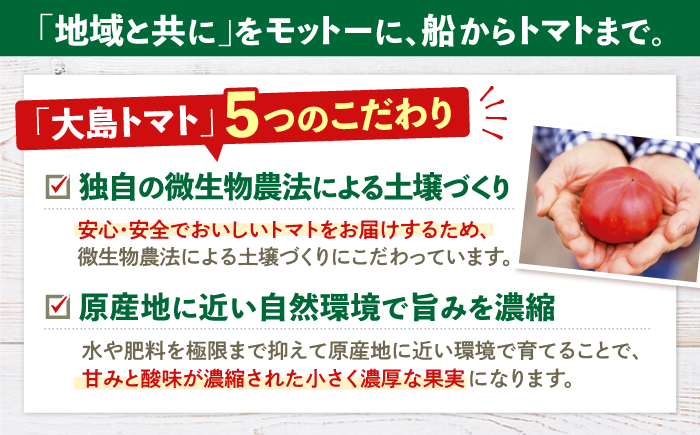  大島トマトジュース 「ルビーのしずく」 300ml×12本＜大島造船所農産G＞ [CCK036]