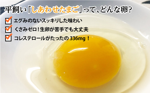 ポケマルでも大人気「まつもと たまご 」＆ 平飼い 「しあわせたまご」 各20個（計40個）＜松本養鶏場＞ [CCD020]