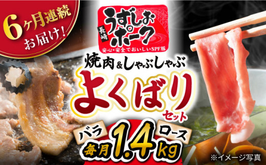 【 訳あり 】【6回 定期便 】長崎うずしおポーク 焼肉 ＆ しゃぶしゃぶ セット 1.4kg  豚肉 豚 焼き肉用 焼肉用 しゃぶしゃぶ 豚スライス ロース バラ ＜スーパーウエスト＞ [CAG096]