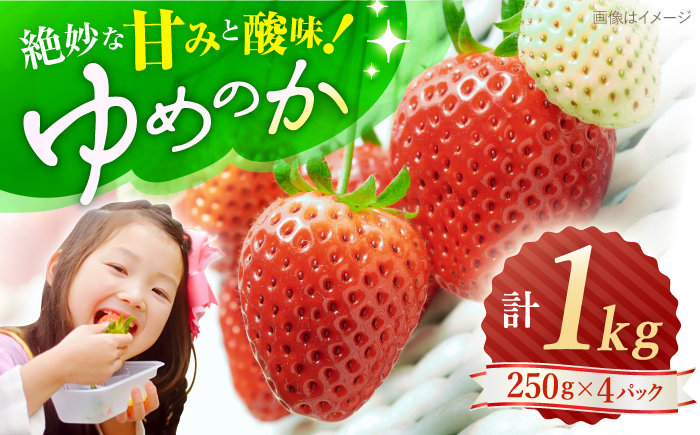 【先行予約】 ゆめのか いちご 計1kg（250g×4パック）＜川原農園＞ [CDR009]  長崎 西海 いちご 苺 イチゴ 贈答 ギフト