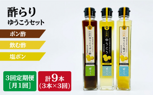 【3回定期便】酢らり（ゆうこう・ゆうこうポン酢・ゆうこう塩ポン）総計9本＜川添酢造＞ [CDN041]