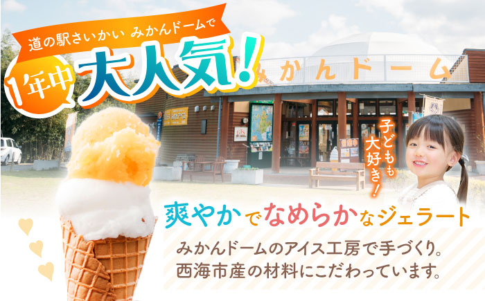 【年中人気】【12回定期便】 おまかせジェラート  8個 ＜みかんドーム＞ [CAI033]