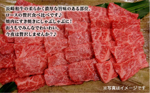 【訳あり】長崎和牛 ロース食べ比べ 約1000g（焼き肉用、すき焼き・しゃぶしゃぶ用各約500gずつ）＜大西海ファーム＞ [CEK136]