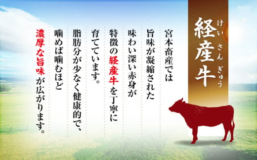 【12回定期便】 切り落とし セット 長崎県産黒毛和牛 長崎県産豚 切り落とし 計24kg（約2kg×12回） 和牛 牛 牛肉 豚肉 ブタ 豚 切り落とし 和牛切り落とし  ＜宮本畜産＞ [CFA024]