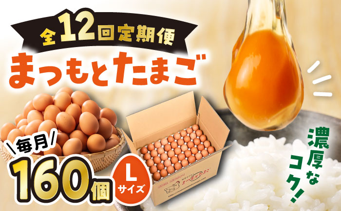 【12回定期便】 まつもとたまご Lサイズ 赤玉 160個 ＜松本養鶏場＞[CCD016]